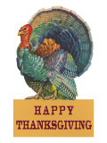Happy Thanksgiving, Angry Turkey