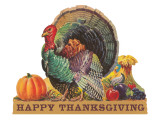 Happy Thanksgiving, Angry Turkey