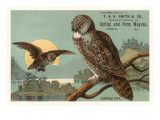 Canada Owls