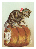 Victorian Cats in Muff