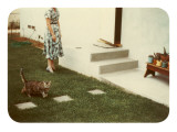 Tabby Cat on Lawn with Lady