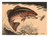 Buy Woodcut of Bass at AllPosters.com