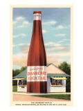 Giant Cranberry Cocktail Bottle Giclee Print