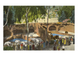 Buy Bears at Zoo, Chester, San Diego, California at AllPosters.com