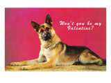 Wont You be My Valentine? Quizzical German Shepherd