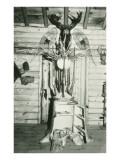 Moose Head, Snowshoes, Trunk Cabinet