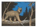 Woodcut of Canada Lynx