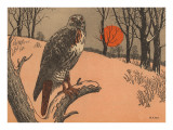 Woodcut of Hawk