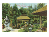 Japanese Tea Garden, Golden Gate Park, San Francisco, California