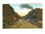 Locomotive Going through Orange Graves