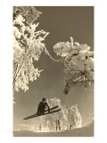 Airborne Skier Amid Frost-Laden Trees