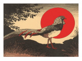 Woodcut of Pheasant