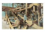 Buy Slate Pickers in Scranton, Pennsylvania at AllPosters.com