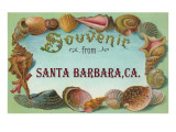 Sea Shells, Souvenir from Santa Barbara, California