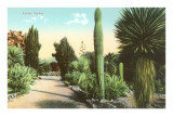 Buy Cactus Garden at AllPosters.com