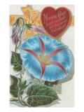 Vintage Morning Glory Valentine