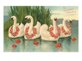 To My Sweet Valentine, Swans with Rose Leis