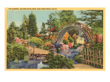 Tea Garden, Golden Gate Park, San Francisco, California