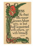 Success, Colton Quote