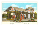 Buy Log Cabin Service Station at AllPosters.com