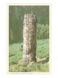 Petrified Tree, Yellowstone National Park
