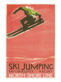 Ski Jumping Poster