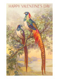 Happy Valentine's Day, Golden Pheasants