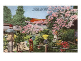 Tea Garden, Golden Gate Park, San Francisco, California
