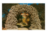 Buy Antler Arch into Jackson Hole, Wyoming at AllPosters.com