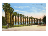 Park, La Jolla, San Diego, California