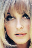 Buy Sharon Tate at AllPosters.com