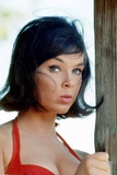 Buy Yvonne Craig at AllPosters.com