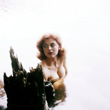 Buy Tina Louise at AllPosters.com