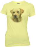 Juniors: Hangover II- Frisky Bizpets Yellow Lab