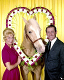 Buy Mr. Ed at AllPosters.com