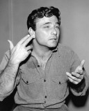 Buy Peter Falk at AllPosters.com