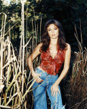 Buy Jacqueline Bisset at AllPosters.com