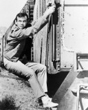 Buy David Janssen - The Fugitive at AllPosters.com