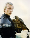 Rutger Hauer - Ladyhawke