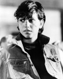 Ralph Macchio - The Outsiders