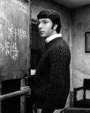 Straw Dogs