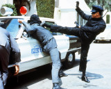 The Green Hornet