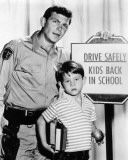 The Andy Griffith Show