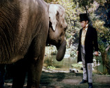 Buy Rex Harrison - Doctor Dolittle at AllPosters.com