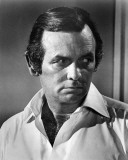 Buy David Janssen - Cannon at AllPosters.com