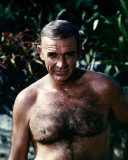 Buy Sean Connery - Never Say Never Again at AllPosters.com
