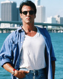 Sylvester Stallone - Assassins