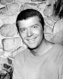 Robert Reed - The Brady Bunch