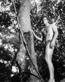 Ron Ely - Tarzan