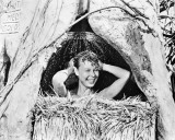 Mitzi Gaynor - South Pacific